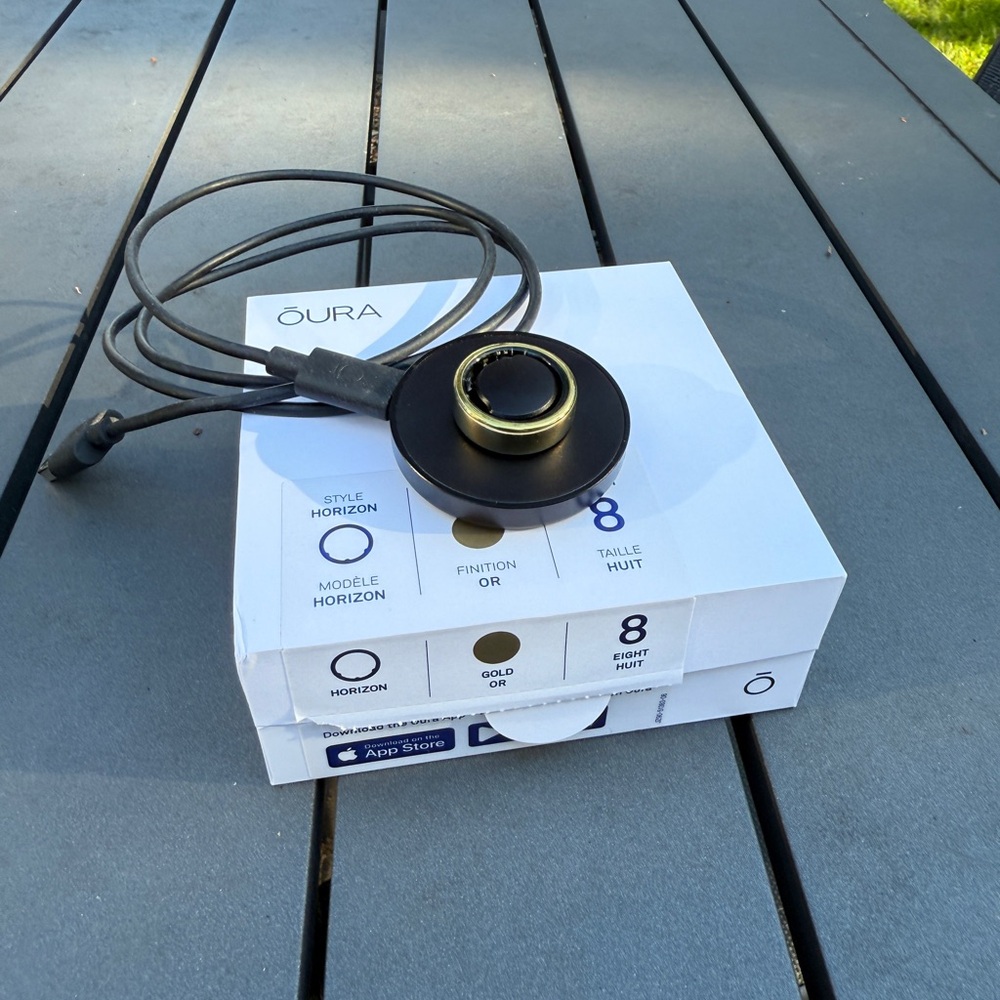 Oura Ring Gen3 - Horizon Gold – Size 8